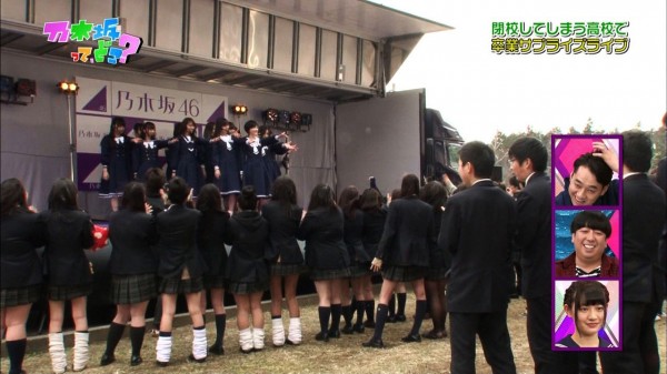 A diferencia de sus rivales de AKB48, Nogizaka 46 cuenta con más wotas femeninas que las apoyan.