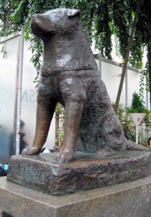 Estatua de Hachi afuera de la populosa estación del metro de Shibuya.