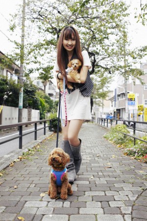 Alcalde japonés considera aplicar un «impuesto de perros» en su ciudad