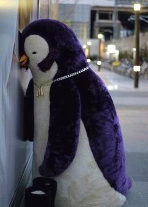 Capturan a pingüino que se fugó de acuario hace dos meses